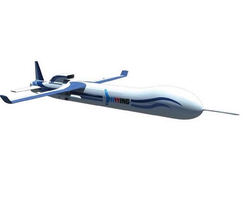 UAV de frappe de reconnaissance CASIC WJ-600